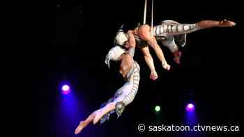 Cirque du Soleil's OVO coming to Saskatoon