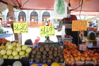 Mercati e ambulanti patrimonio Unesco, candidatura da Chieri - Agenzia ANSA