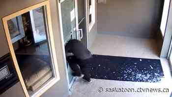 Video shows suspect smashing his way into Prince Albert building