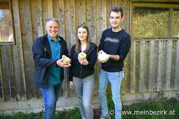 Tierwohl und Unternehmergeist vereint: Haltung von Weidehühnern an LFS Warth - meinbezirk.at