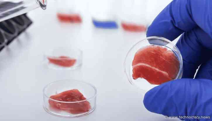 A Visual Guide to the Science Behind Cultured Meat