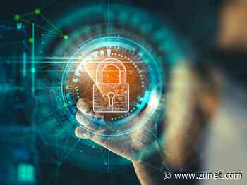 Brazilian e-commerce firm Americanas reports multimillion-dollar loss following cyberattack