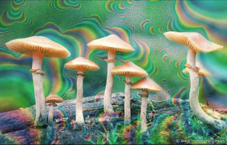 Burning Man? Klaus Schwab Opens Doors In Davos To Psychedelic Shamans