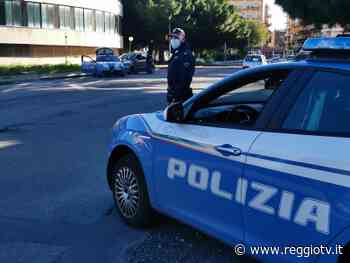 Reggio Calabria. Denunciati due volte nell'arco di una decina di giorni per maltrattamento di animali - Reggio TV