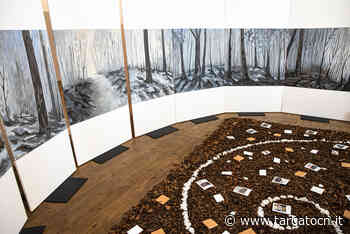 Al palazzo Samone di Cuneo arriva la mostra Metamorphoseon - TargatoCn.it