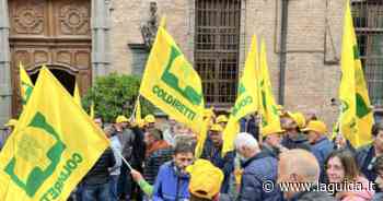 Enrico Nada è il nuovo presidente di Coldiretti Cuneo - La Guida - LaGuida.it