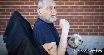 Housing and health care top of mind in eastern Ontario as election looms