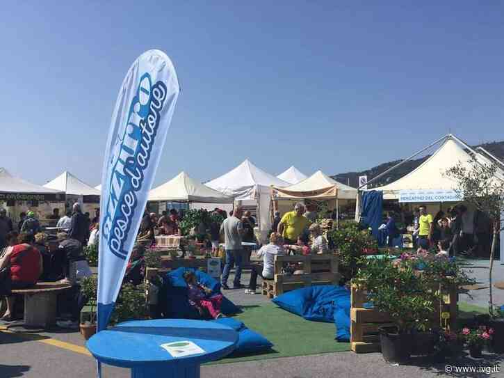 Al porto di Andora torna “Azzurro Pesce d'Autore”: dal mare ai sentieri il territorio è protagonista - IVG.it
