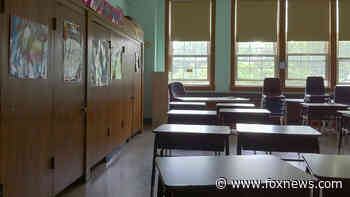 DC elementary school gave 4-year-olds ‘anti-racism’ ‘fistbook’ asking them to identify racist family members - Fox News