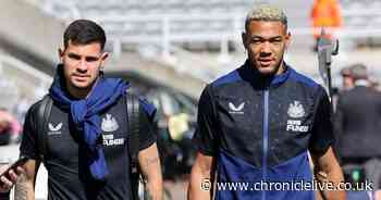 Joelinton outlines Europa League ambition and Bruno Guimaraes' singing his song round the house - Chronicle Live