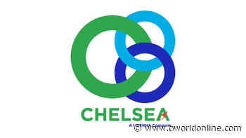 Chelsea Logistics' net loss widens despite improved revenues - BusinessWorld Online