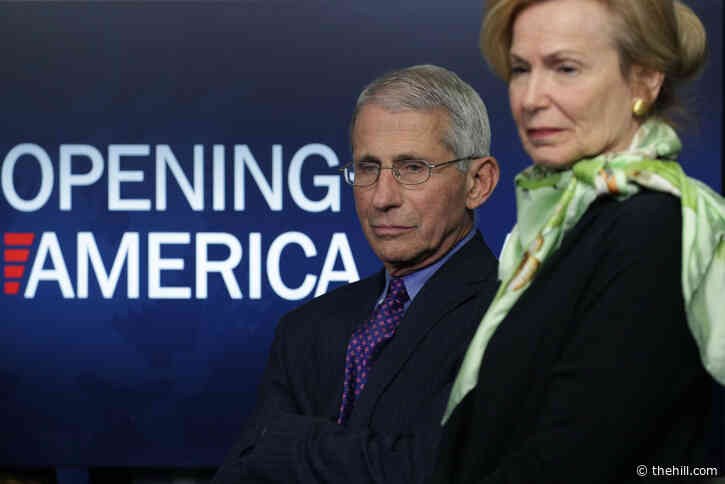 Fauci and Birx at odds over angry encounter with Pence