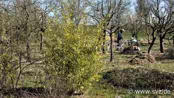 Bauprojekt in Wittenberge: Investor zeigt sich von Standort für Naturhotel überzeugt - svz – Schweriner Volkszeitung
