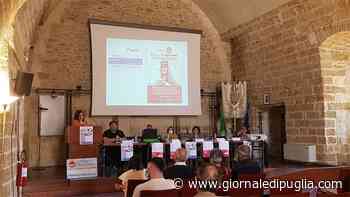 Aido Brindisi: spunti e confronti interessanti al corso per Giornalisti su Testamento Biologico e Donazione Organi - Giornale di Puglia