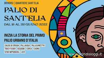Brindisi si prepara per il Palio di Sant'Elia, ecco il programma - Brindisi Oggi, news Brindisi notizie Brindisi e provincia - BrindisiOggi
