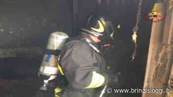 Incendio in una abitazione, salva una famiglia ma muore il cane - Brindisi Oggi, news Brindisi notizie Brindisi e provincia - BrindisiOggi