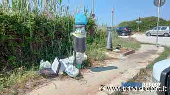 Pantanagianni, spazzatura e incuria a due passi dalla spiaggia - BrindisiReport