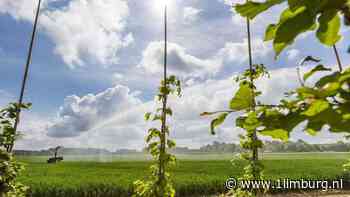 Waterschap Limburg kondigt code geel af om droogte - 1Limburg | Nieuws en sport uit Limburg