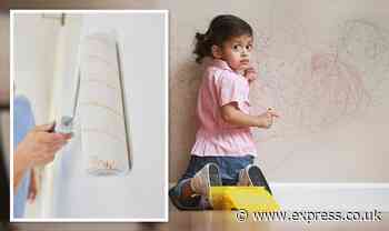 'Good as new' How to clean handprints & dirt off your walls using baking soda & a roller