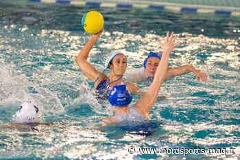 CHAMPIONNAT DE FRANCE ELITE FEMININ 2021-2022 FINALE LILLE-NICE PRÉSENTATION - NORDSPORTS-MAG.FR