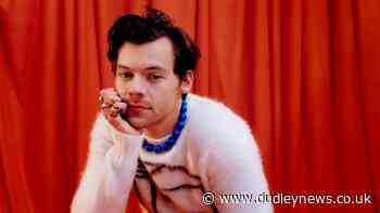 Harry Styles set to host special CBeebies Bedtime Stories - Dudley News