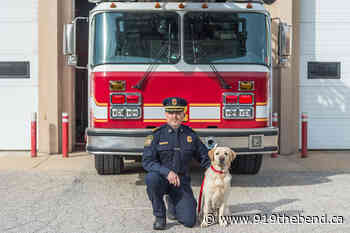 New Four Legged Member Of Moncton Fire Department - 91.9 The Bend
