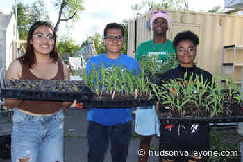 Spring at the Kingston YMCA Farm Project - Hudson Valley One