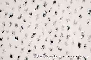 L'opera di Serena Vestrucci "Batter d'occhio" (2021) sarà acquistata dal Trust per l'Arte Contemporanea - politicamentecorretto.com - politicamentecorretto.com