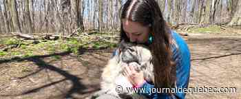 Des cendres et l’urne volées sur son balcon