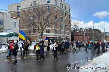 UCC hoping federal government steps up efforts for Ukrainians arriving in Ottawa - Ottawa.CityNews.ca