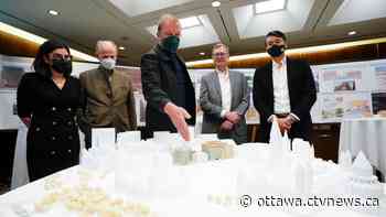 Ottawa's Terry Fox statue to move to make way for new parliamentary building - CTV News Ottawa