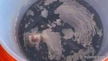 Kansas college looking into alleged water cooler tampering by baseball program - New York Post