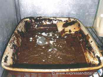 Ex-pub company owner fined over filthy food conditions - Express & Star