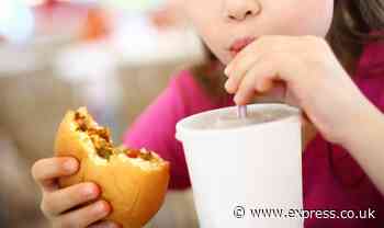 Fast-food addiction fuels nation's obesity disaster - Express