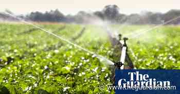 Organic food production may be key to saving our land - The Guardian