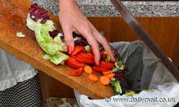 The average family wastes £800 worth of edible food every YEAR - Daily Mail