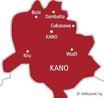 Accidental discharge: Prison warder kill vendor in Kano - Daily Post Nigeria