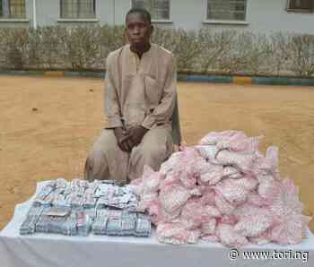 Kano Police Arrest Suspected Drug Dealer With 1200 Sachets Of Tramadol And Exol Tablets - Tori.ng