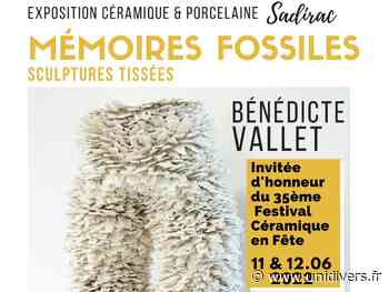 Mémoires fossiles – Exposition de sculptures tissées par Bénédicte Vallet Sadirac samedi 11 juin 2022 - Unidivers