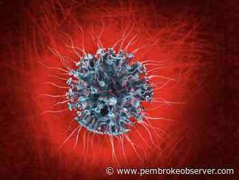 Renfrew County and District Health Unit reporting three more COVID deaths over the last week - Pembroke Observer