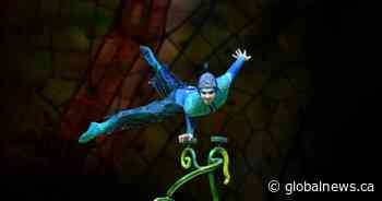 Cirque du Soleil coming to Saskatchewan this summer - Global News
