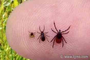Ticks are back in Saskatchewan - News Talk 980 CJME
