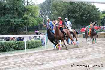 Palio di Fucecchio, seguilo con gonews.it: dirette video, sondaggi e ospiti live - gonews