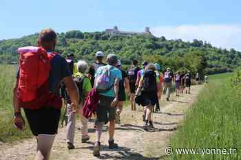 550 marcheurs contre le cancer entre Avallon et Vézelay - Avallon (89200) - L'Yonne Républicaine