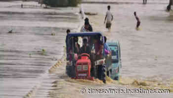 Assam floods: Around two lakh people affected in 20 districts