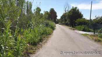 Vertenza Rio Vivo, il "Demanio" nicchia e il Comune lo incalza al Tar - Termoli Online