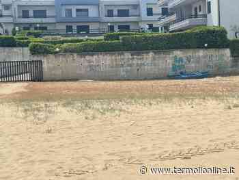 Spiagge pulite "ma solo quelle dei lidi" - Termoli Online