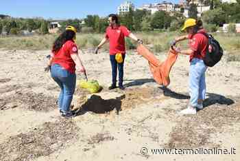 Termoli: Rifiuti sulla spiaggia a Rio Vivo - Termoli Online