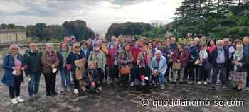 Archeoclub Termoli a Ercolano, una "trasferta" nella Storia - quotidianomolise.com - Il Quotidiano del Molse