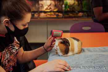 The Sheffield College pilots the use of virtual reality technology in national first – FE News - FE News